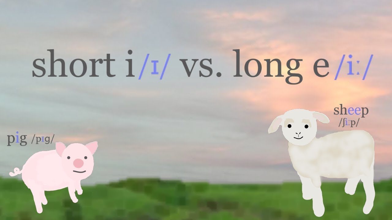 Short i vs long e (pronunciation of the English vowels /ɪ/ vs /iː/)