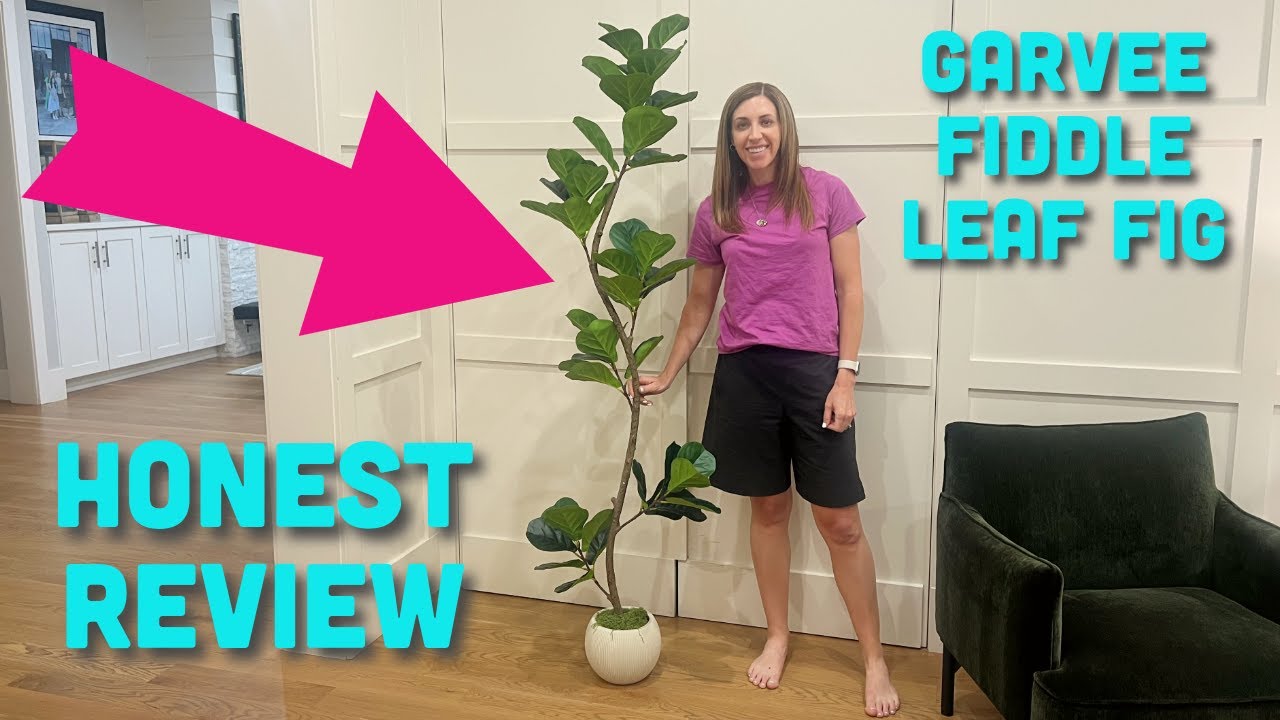 This Garvee Fiddle Leaf Fig Instantly Upgraded My Space 😍🌿