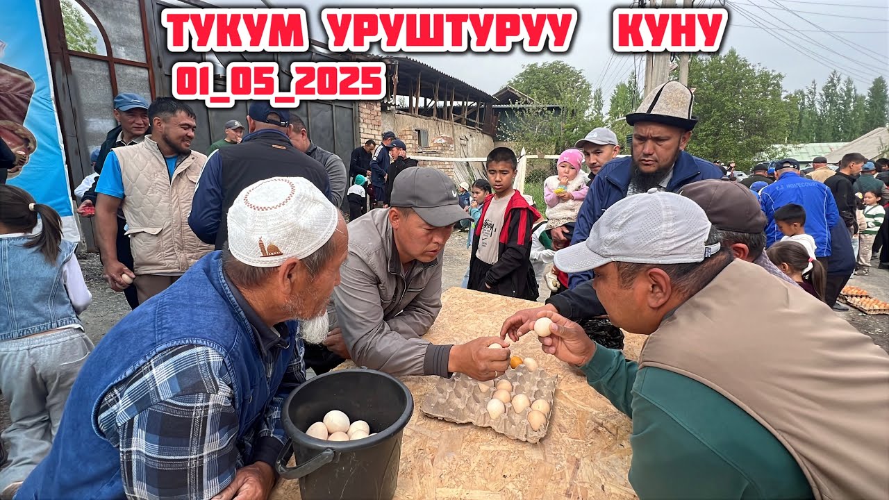 1 май 2025  Жыл НООКАТ КАРА-ТАШ АЙЫЛЫ ТУКУМ УРУШТУРУУ КУНУ