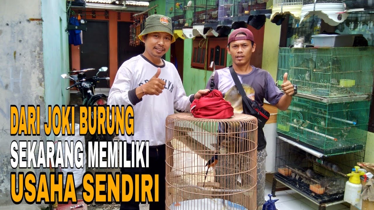 BER AWAL DARI JOKI BURUNG KICAU SEKARANG MENJADI OWNER