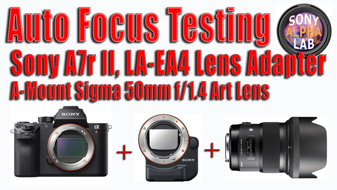 Auto Focus Testing In Lab - Sony A7rII, Sigma Lenses, LA-EA4 Lens Adapter