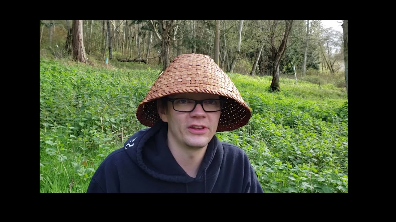 Stinging Nettle Harvest Tutorial