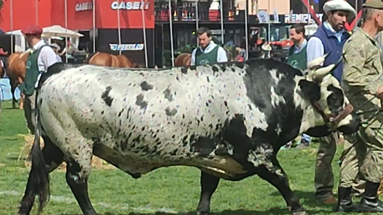 Acto de Clausura Expo Prado 2024 parte 4