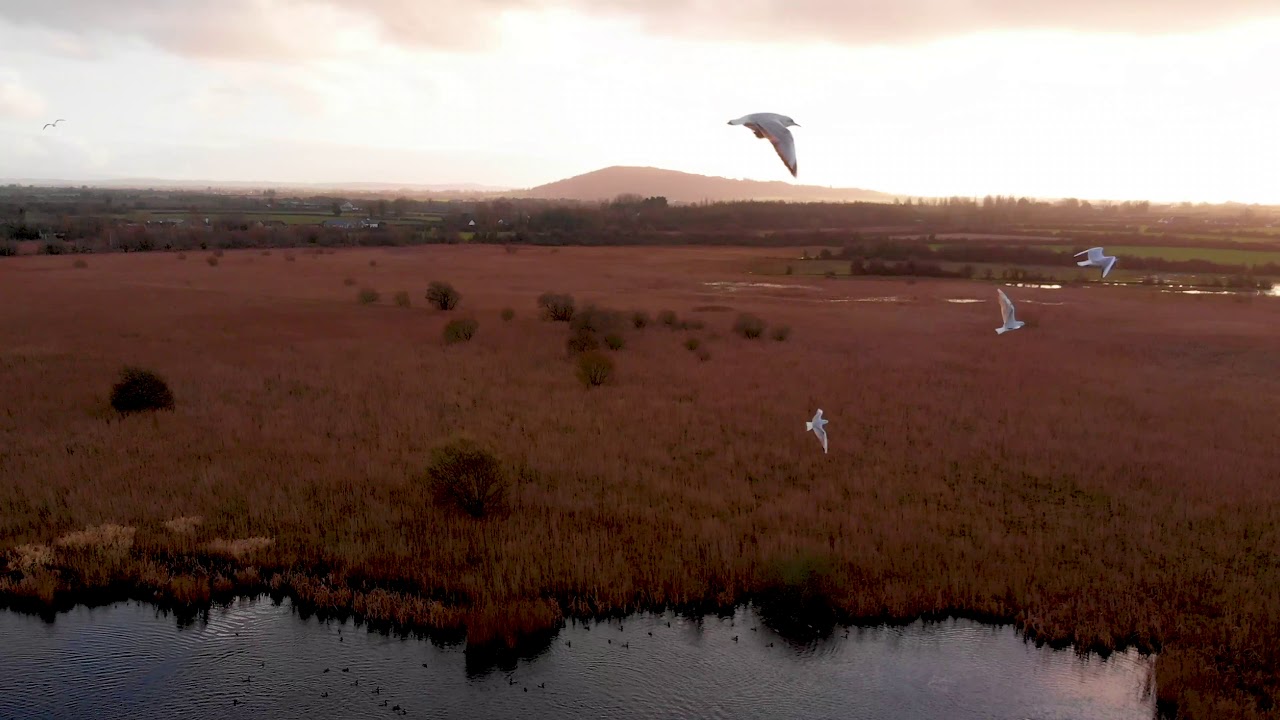 CABRAGH WETLANDS TRUST, THURLES COUNTY TIPPERARY, IRELAND.