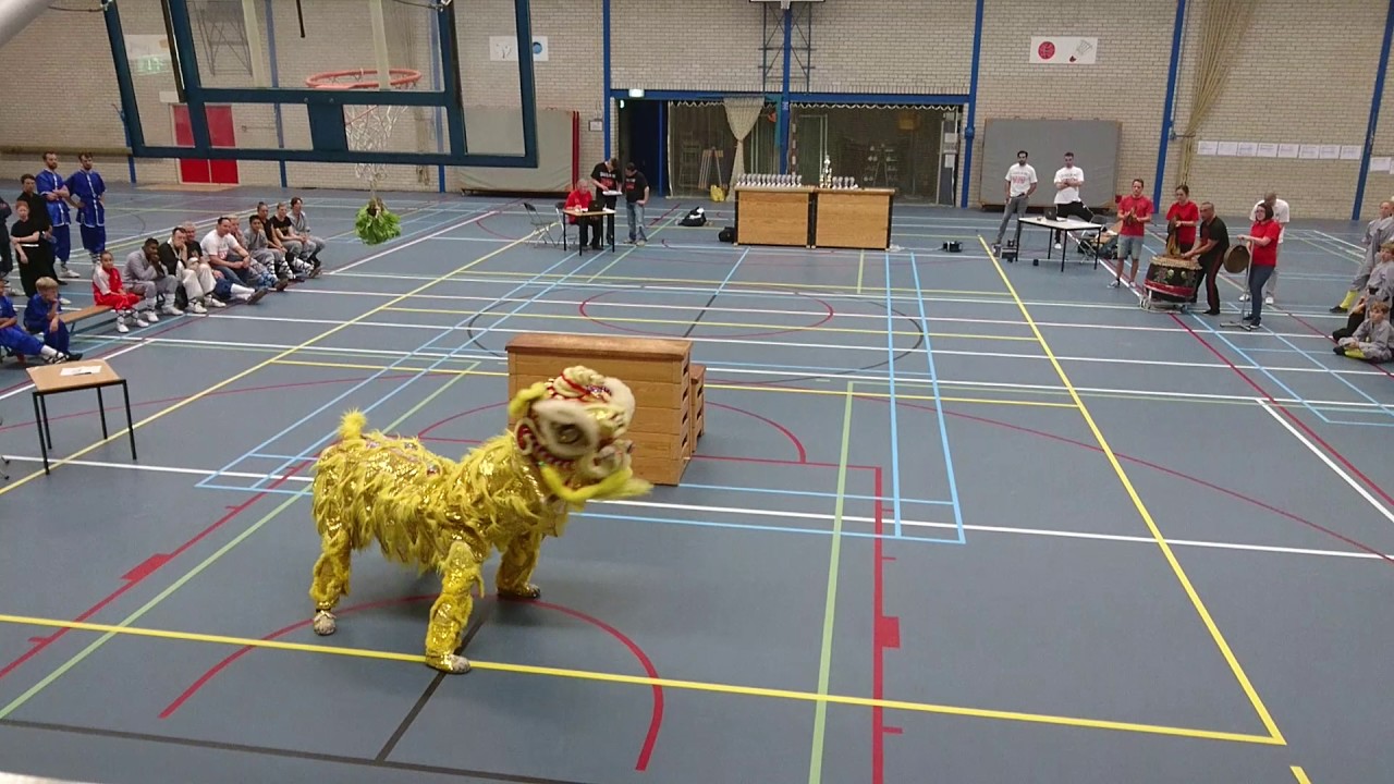Leeuwen dans