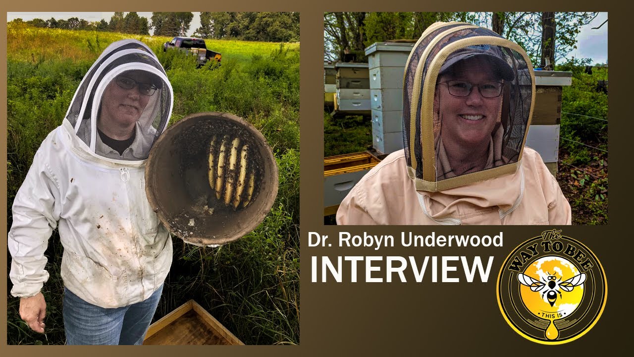 Interview with Dr. Robyn Underwood of Penn State. Do Sugar Rolls & Shakes also kill the tested bees?