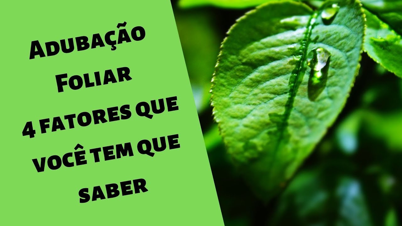 5 fatores que afetam a eficiência da adubação foliar