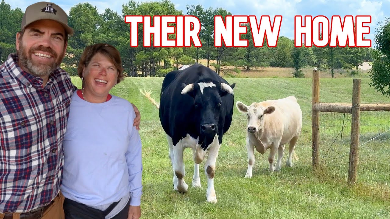 Biggest Day Yet, Moody & Mildred are Moving! (Finally Happening)