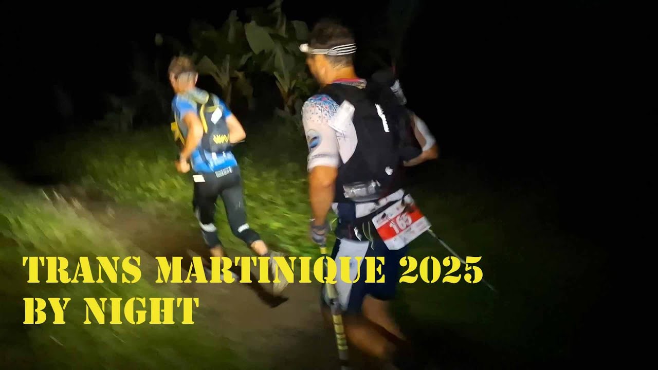 TransMartinique by night, la jungle (p1).
