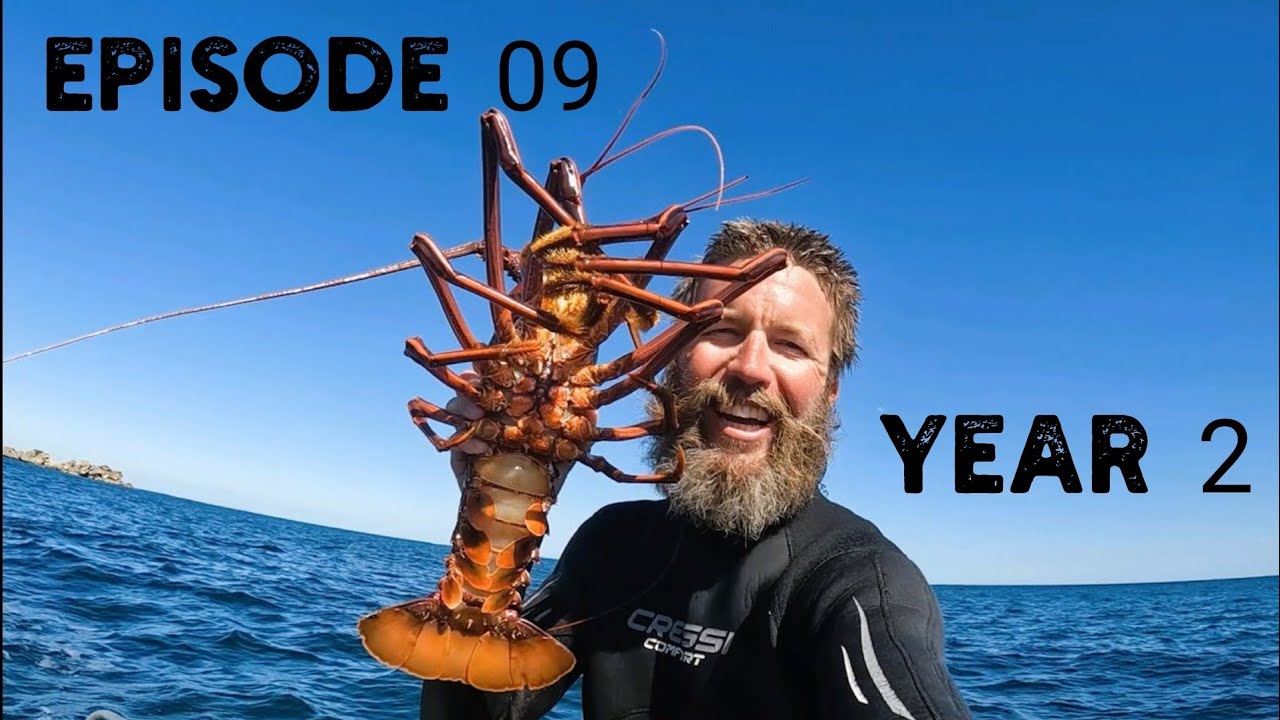 Hamelin Bay | Big Crays and Friendly Sharks | EP09 | Year 2