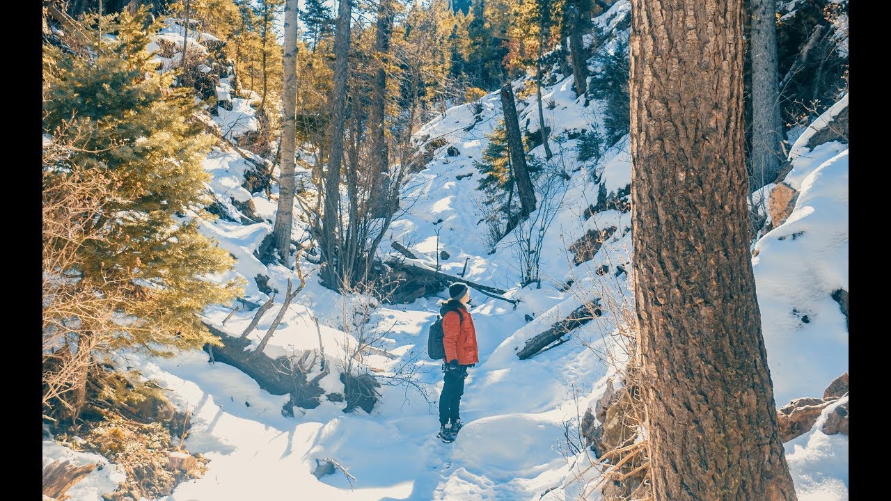 ❄ Caminando sobre un BOSQUE CONGELADO ❄