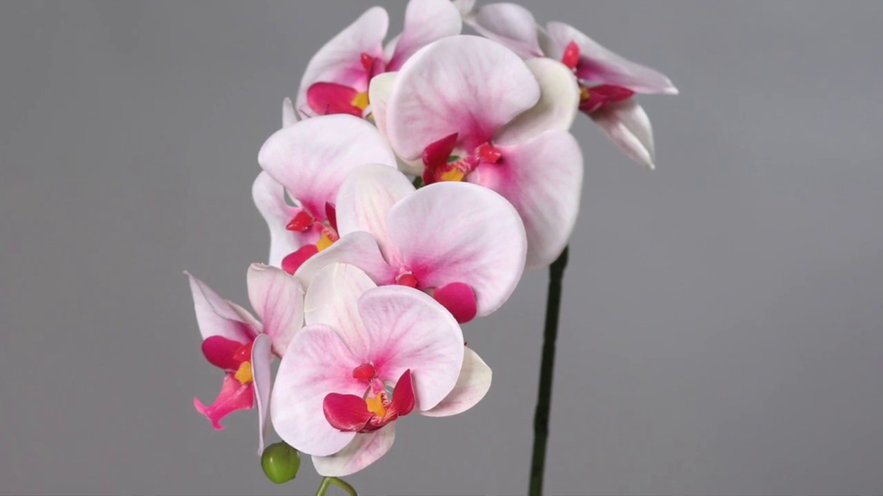 Sztuczne storczyki, orchidee jak żywe - poleca sklep A.Witek