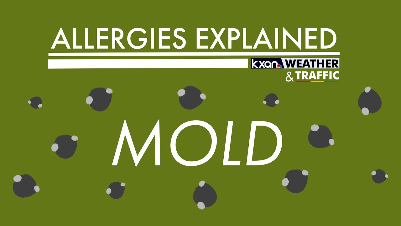 Allergies Explained - Mold