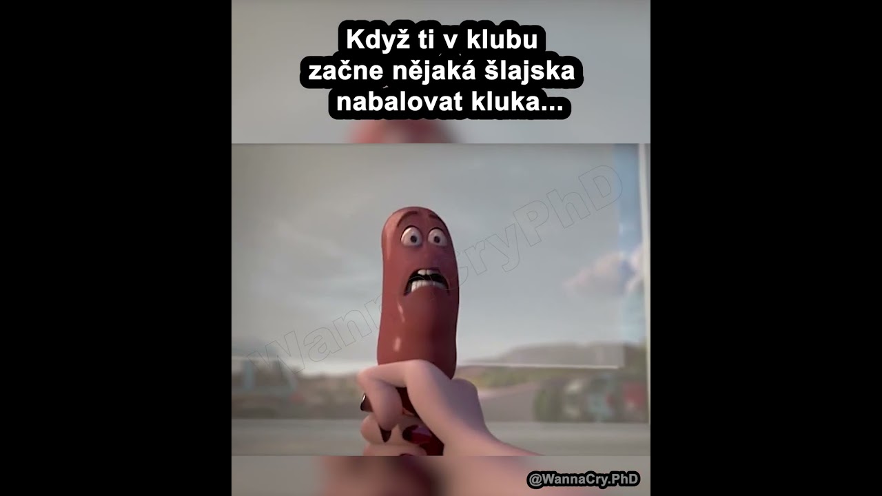 Buchty a klobásy (2016) 