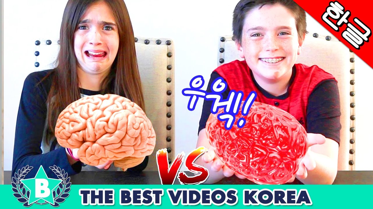 🔴 웃긴 가족 에비 패밀리 10편 - 젤리 먹방 챌린지 [한글자막] Eh Bee Funny Videos Compilation Part10 | Korean Subtitle