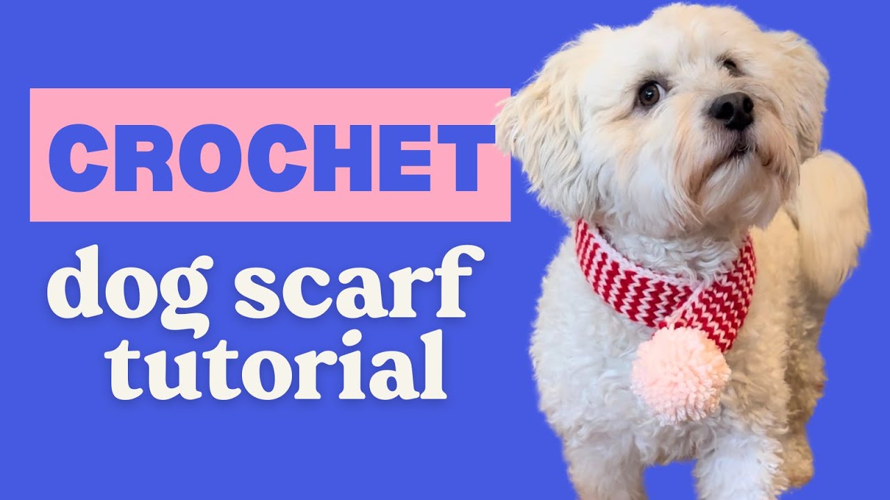 CROCHET - Dog Scarf Tutorial (perfect christmas gift!)