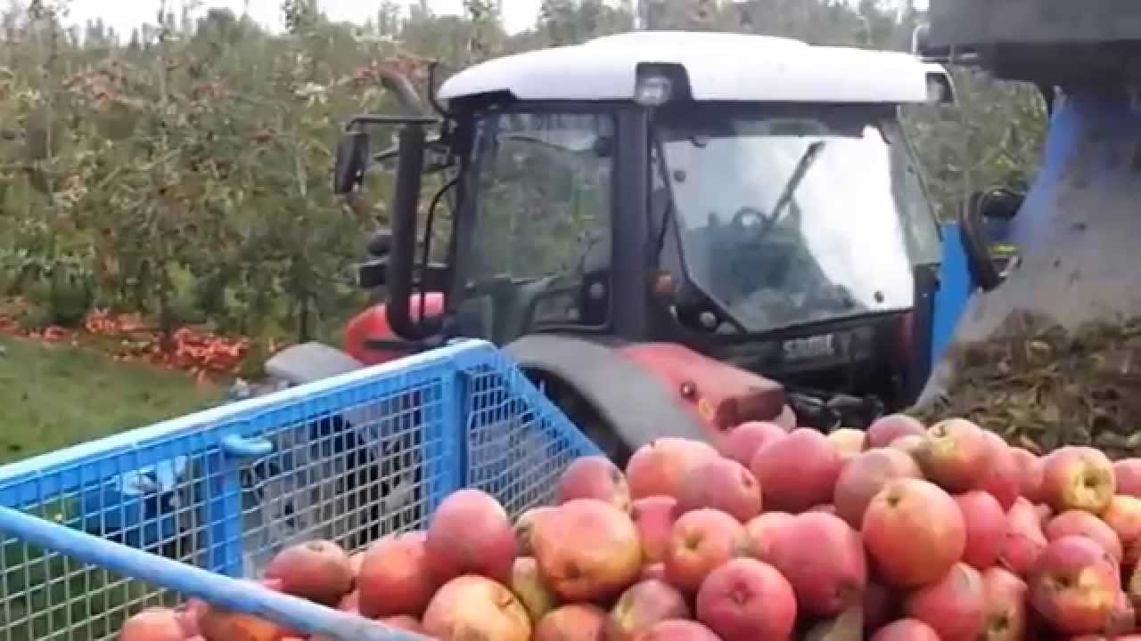 SFM Apple Harvester Sabre II