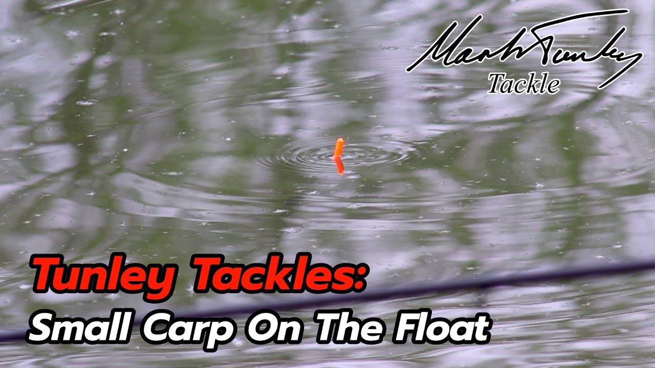 Tunley Tackles: Small Carp on the Float