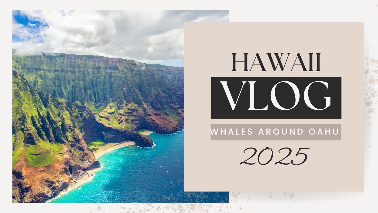Whale Watching in Hawaii! | HI MAR 2025