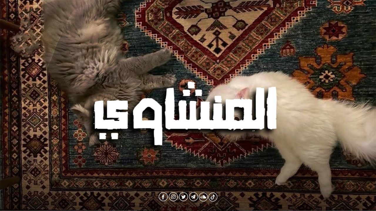 تلاوة تشرح الصدر وتُبكي العين   المنشاوي🎧