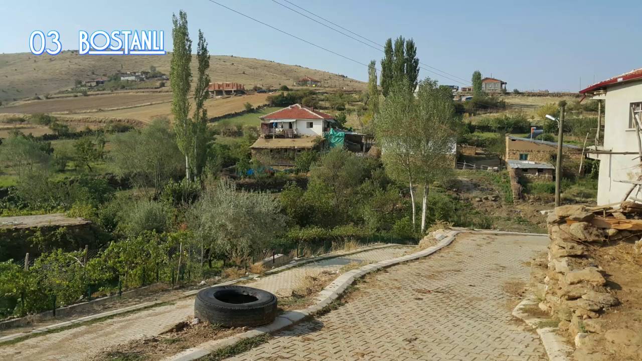 03 BosTanlı