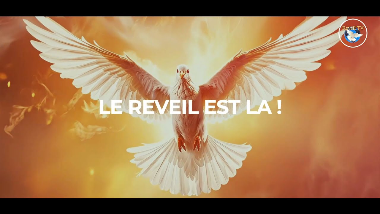 LE REVEIL EST LA !!! - Prophète Elisée Kouakou -08-03-26