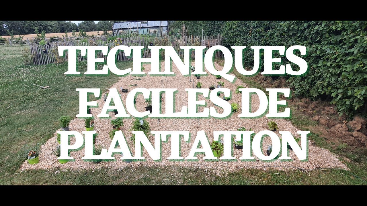 (4/5) Potager : techniques de plantation faciles et rapides