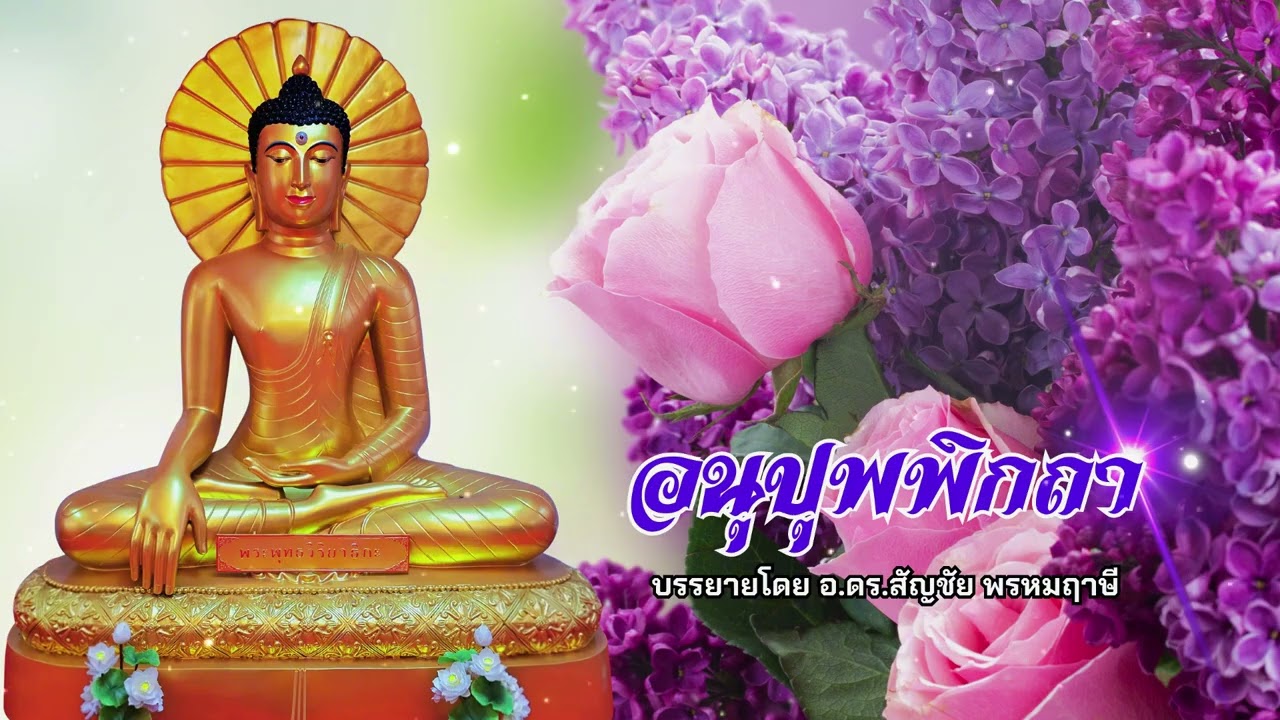 ตามทางพระพุทธเจ้า 15 กุมภาพันธ์ 2569