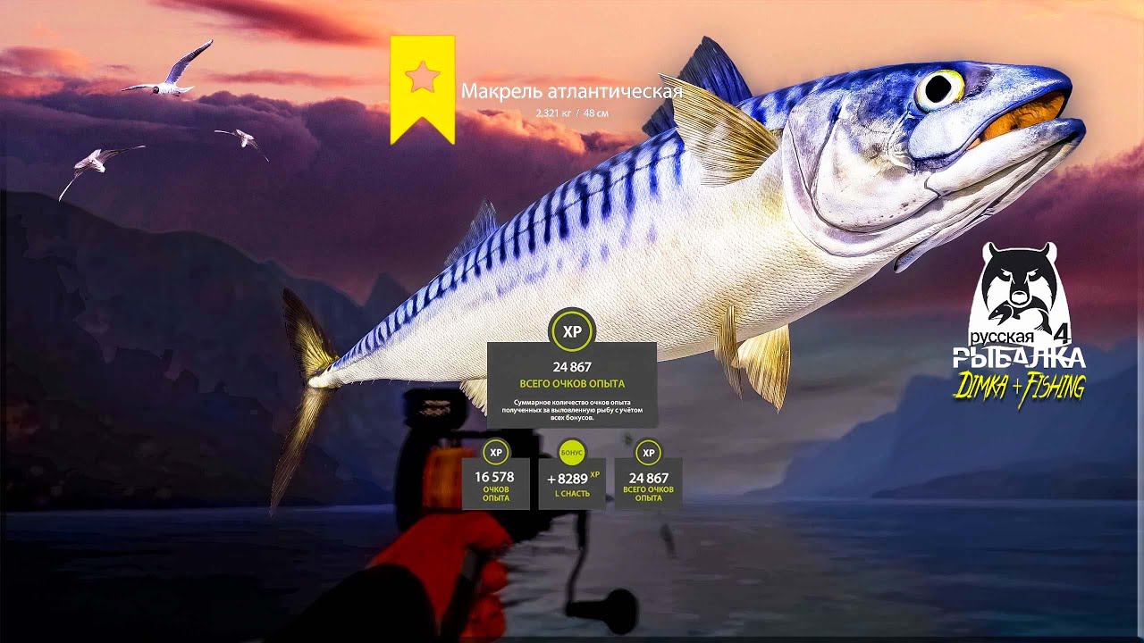 Русская рыбалка 4. 🎣🦈 Норвежское море 🧜‍♂️ ТРОФЕЙ МАКРЕЛЬ АТЛАНТИЧЕСКАЯ 🐳💦 👀