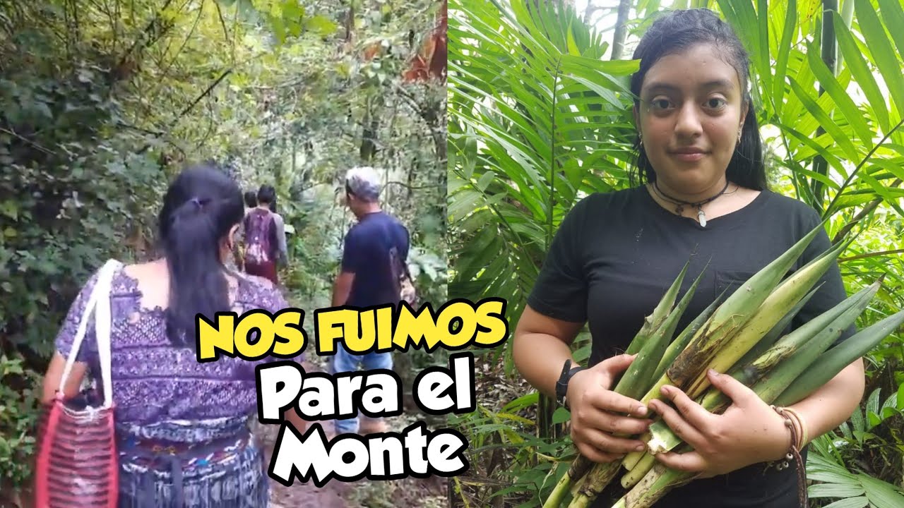 Fuimos a Buscar PACAYAS en una Montaña de Guatemala