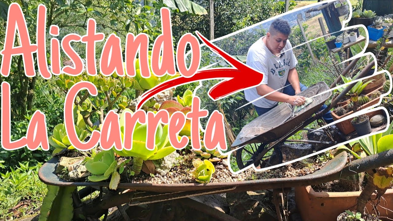 Alistando la carreta + history time de todo lo que está pasando en mi cuenta de Facebook 🚀✨