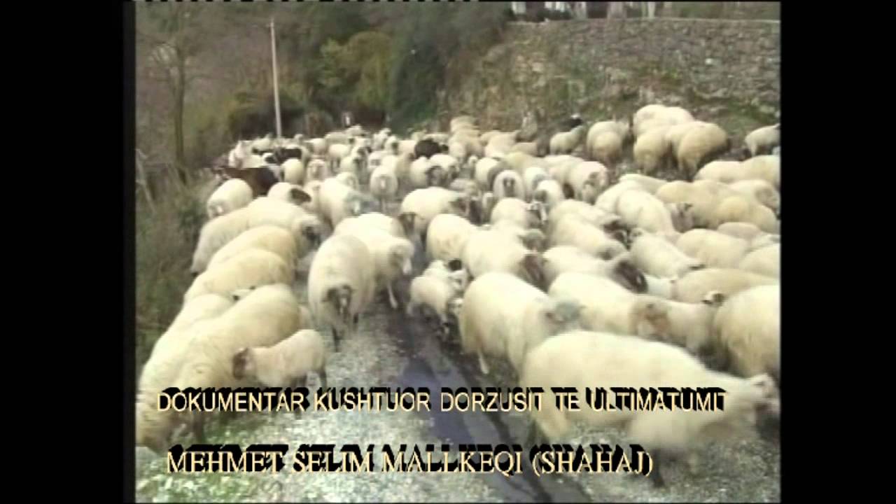 Dokumentar per fshatin Mallkeq Vlore