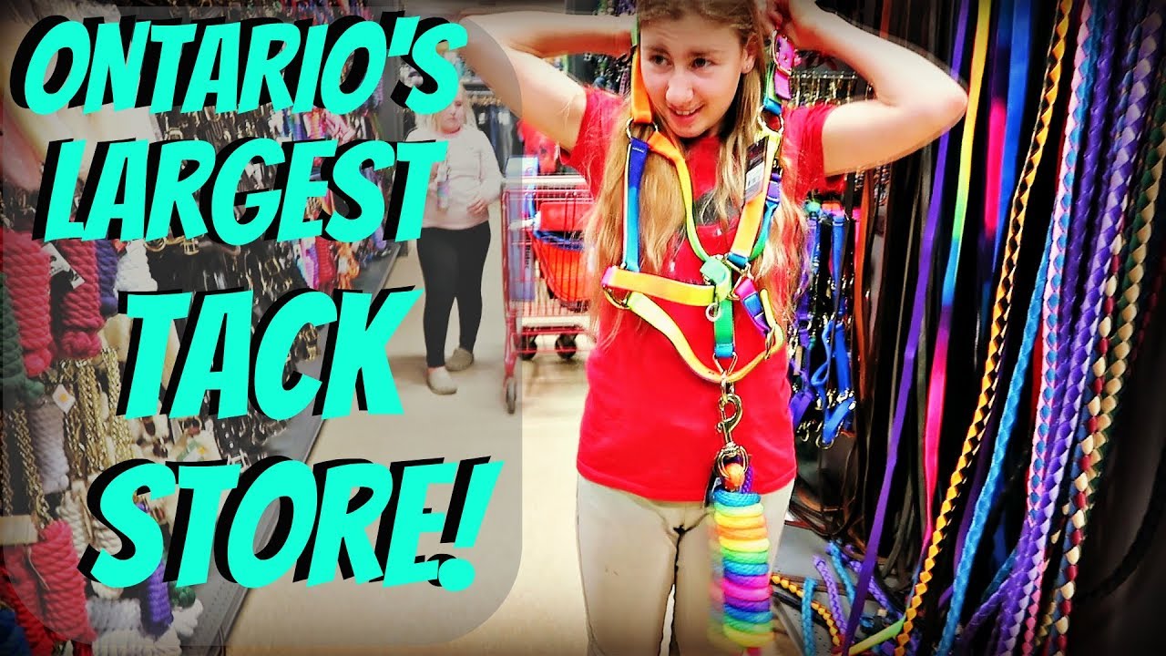 HUGE TACK STORE SHOPPING!