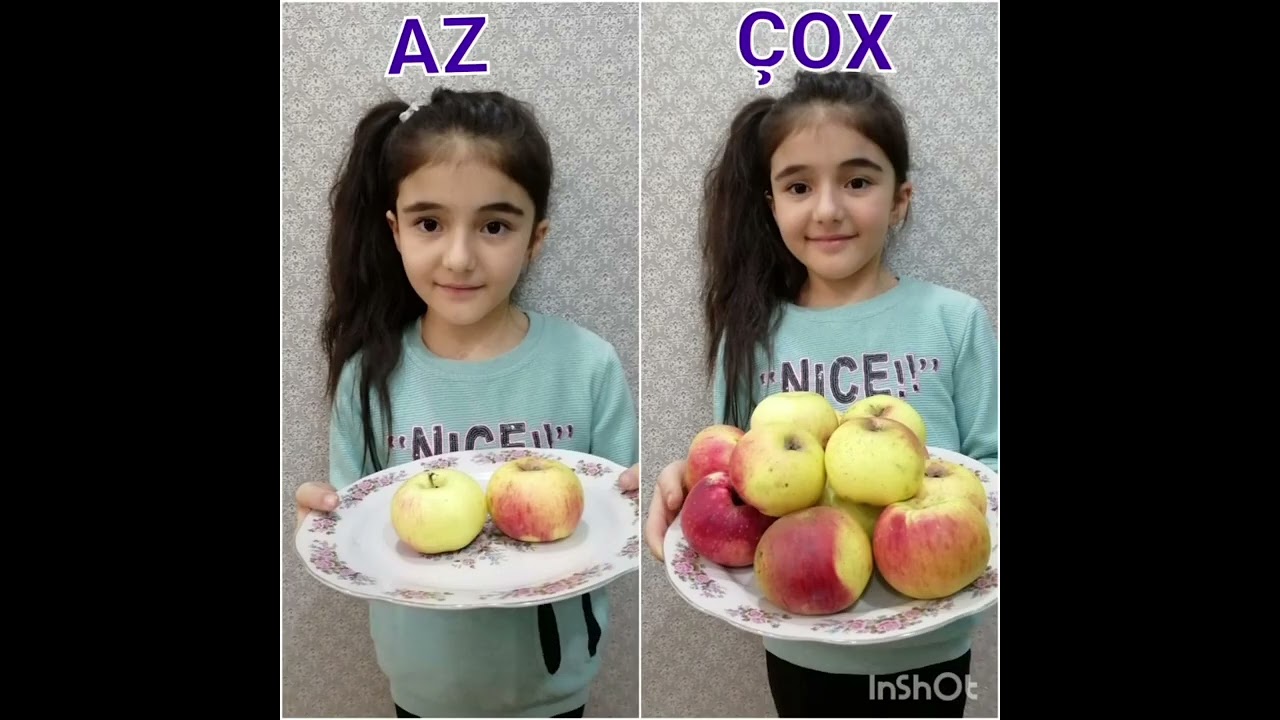 Əksmənalı sözlər 