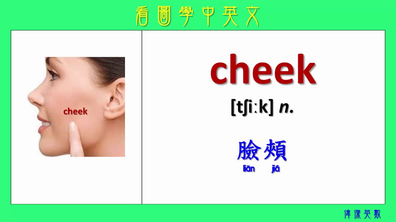 看圖學中英文 12 臉部名稱 (Learning Chinese and English Vocabularies about face)