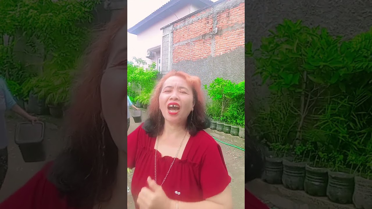 pengadilan cinta Reelsfyp viral semua orang sorotan