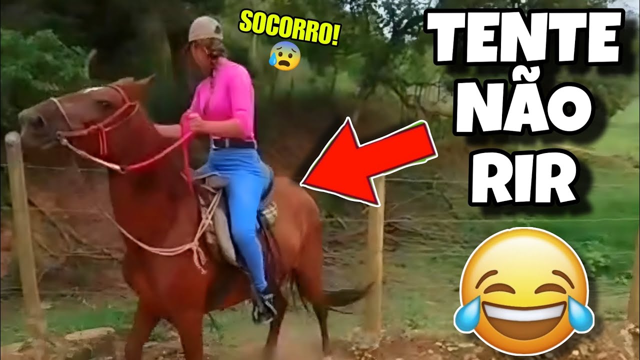 TENTE NÃO RIR: OS MELHORES VÍDEOS DA INTERNET #videosengracados #tentenaorir #humor #comedia #memes 