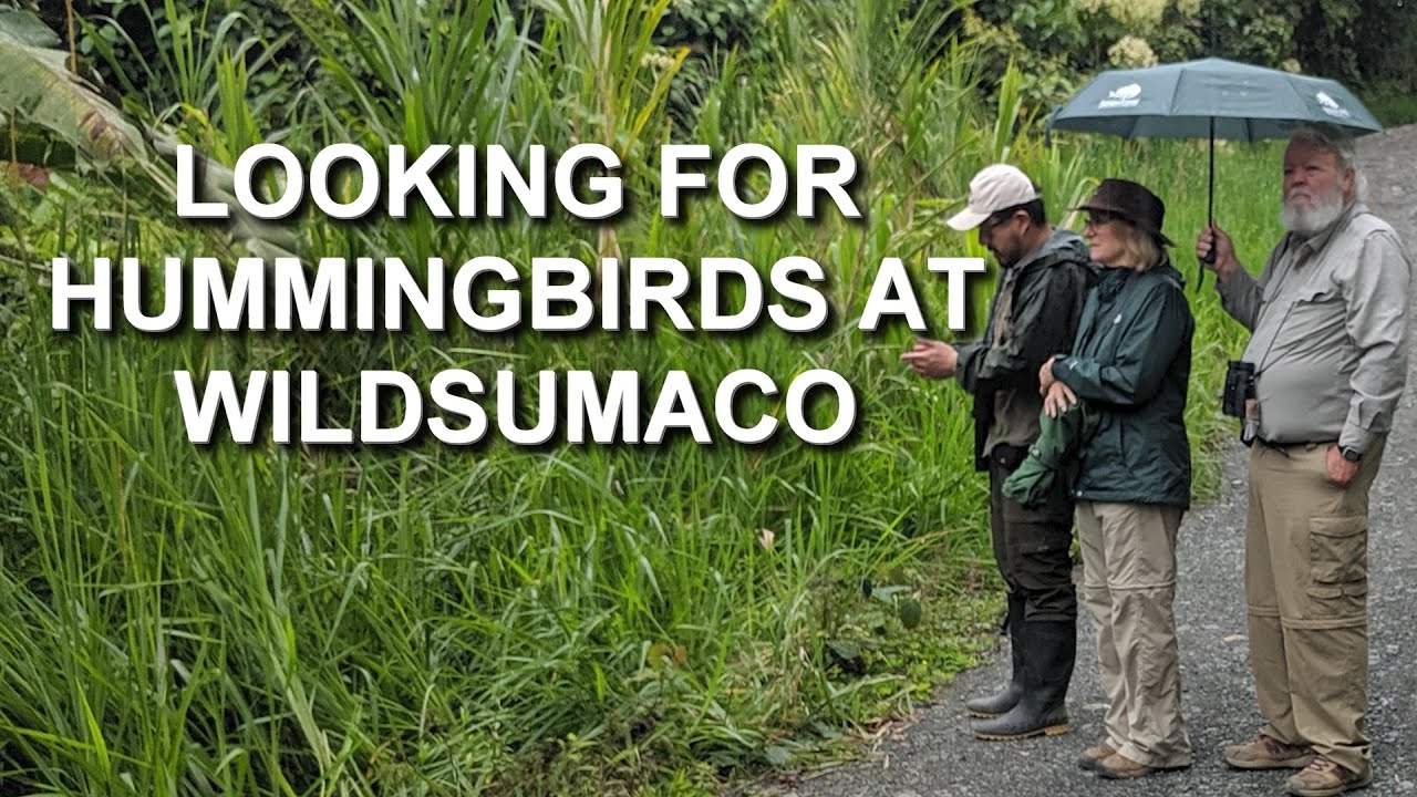 I Visited the Famous Wildsumaco in Ecuador to Photograph Hummingbirds - Episode 6