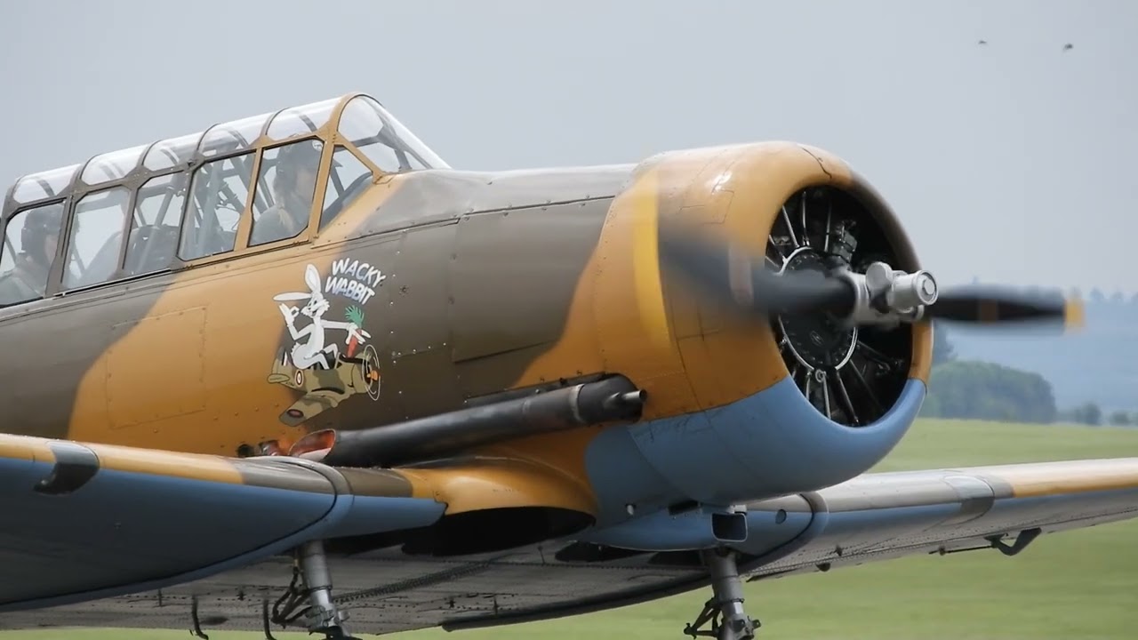T6 Harvard Wacky Wabbit