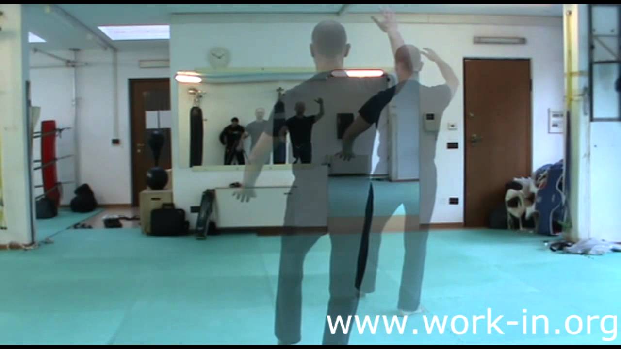 tai chi Alex   forma 1