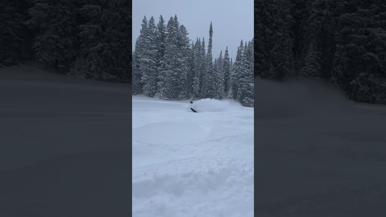 Grand Mesa Snowmobiling