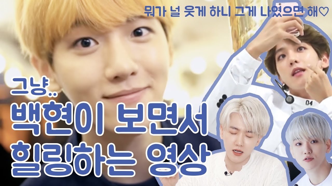 그냥 백현이(강아지) 보면서 힐링하는 영상 *^ㅅ^* | 뭐가 널 웃게 하니 그건 바로 배켜니..♡
