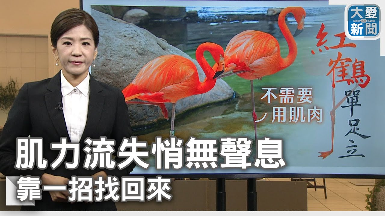 肌力流失悄無聲息 靠一招找回來｜大愛新聞 @DaaiWorldNews