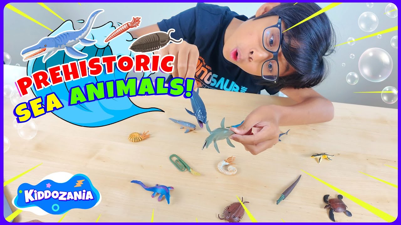 Play Prehistoric Sea Animals Toys with Hunter! | Fun Learning Trivia of ancient sea creatures