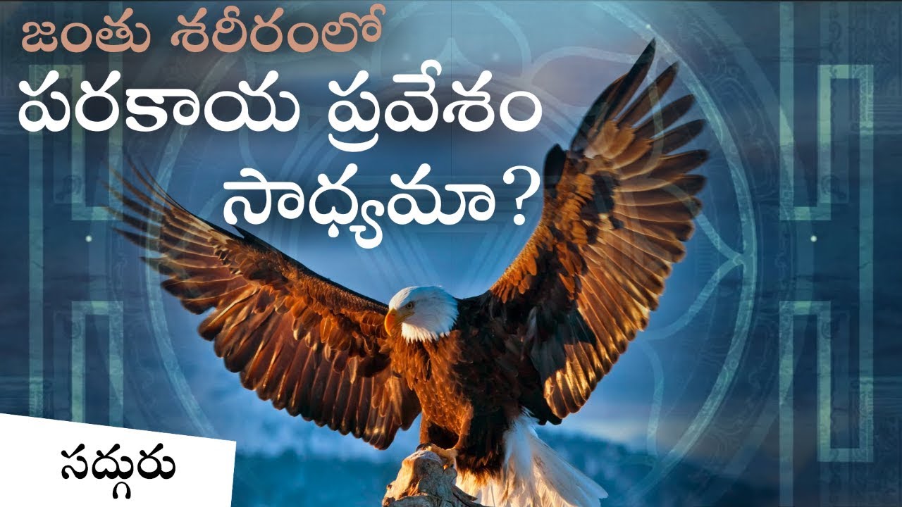 జంతు శరీరాల్లోకి ప్రవేశించి వాటిని నియంత్రించగలమా? Parakaya pravesham Sadhyama?