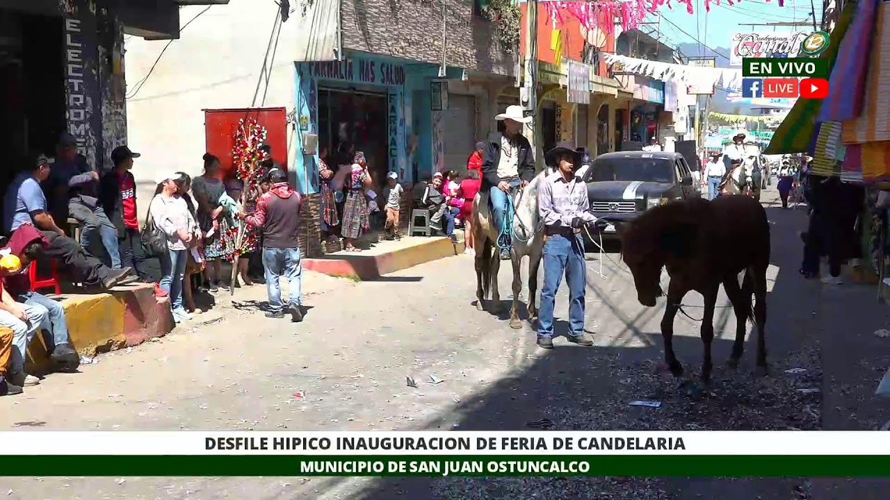 EN VIVO