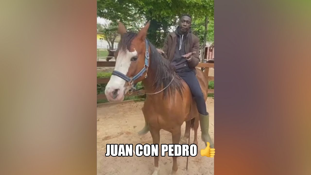 MEMES MUY XD #43