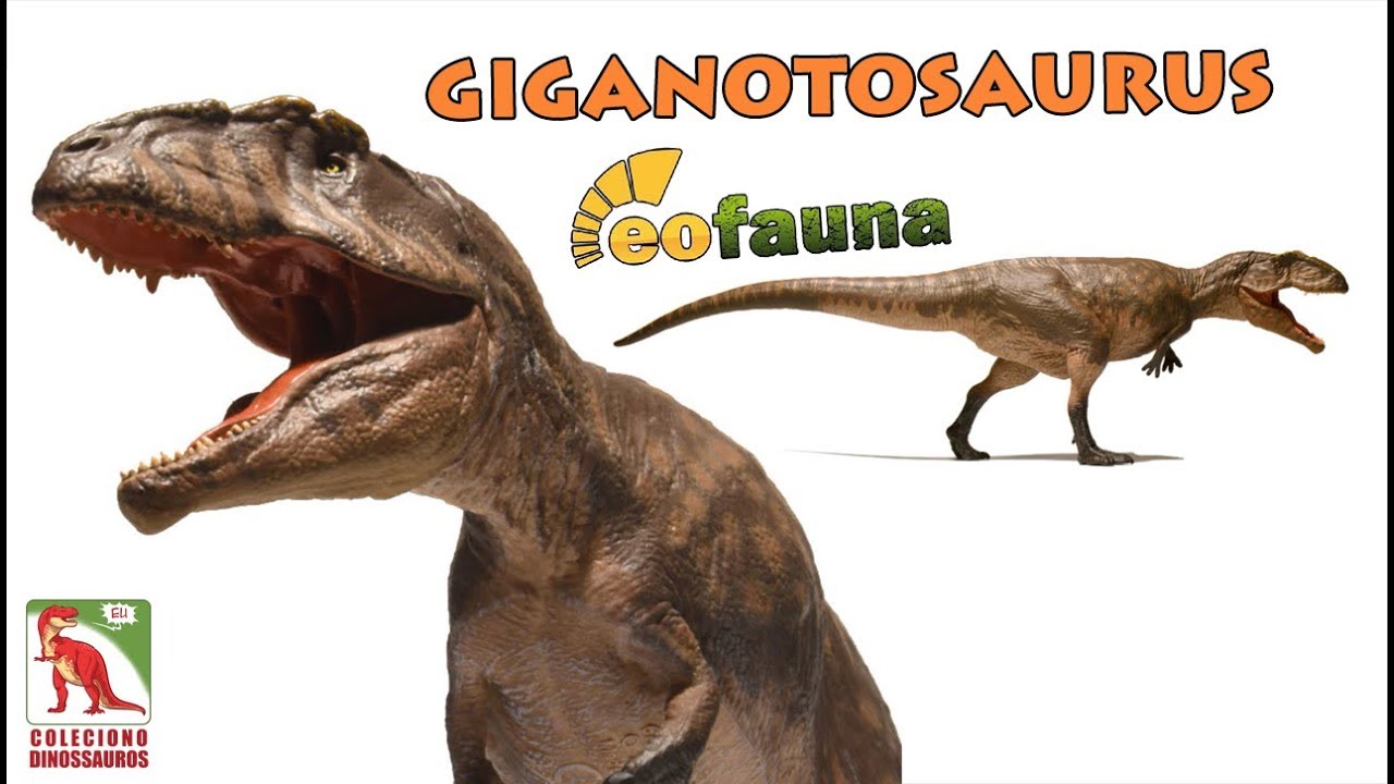 Giganotosaurus Eofauna: review de dinossauro em miniatura