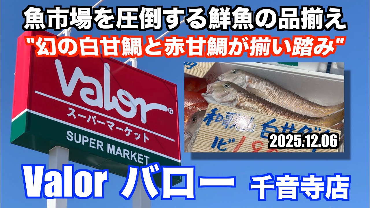 【Valor バロー 千音寺店 幻の白甘鯛と赤甘鯛が揃い踏み 魚市場を圧倒する鮮魚の品揃え】あばお 海鮮ちゃんねる #442 2025.12.06