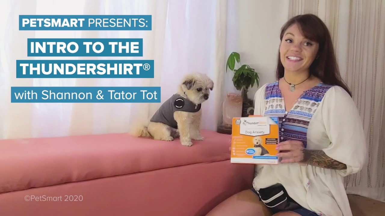 PetSmart Presents: Introducing your dog to the ThunderShirt&reg; Anxiety Wrap